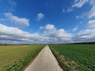 Radweg im Grünen