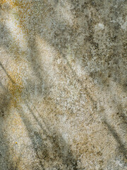 texture surface of old cement wall, close-up. wrinkles of the old cement wall to use as a background image in advertisements, brochure, leaflet, the internet
