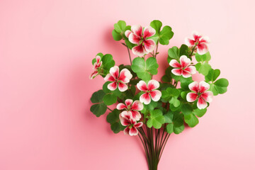 Bouquet of red clover on pink background with copy space for text