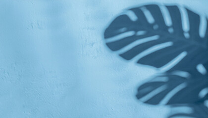 Empty palm shadow blue color texture pattern cement wall background. Used for presentation business nature organic cosmetic products for sale shop online. Summer tropical beach with minimal concept