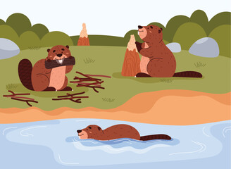 Cute cartoon beavers gnaws at tree, collects branches near the river, floats, semiaquatic mammals vector wild landscape © Kudryavtsev