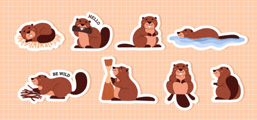 Set of stickers with cute beavers flat style, vector illustration - obrazy, fototapety, plakaty