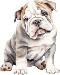 English bulldog puppy watercolour illustration created with Generative AI technology