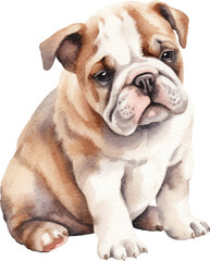 Obraz premium English bulldog puppy watercolour illustration created with Generative AI technology