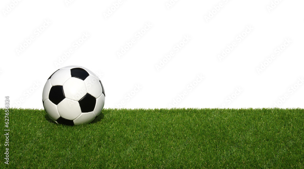 Wall mural Soccer ball on green grass