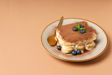 Concept of sweet food, Tiramisu cake, space for text
