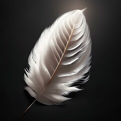 White feather isolated on black background, digital illustration.