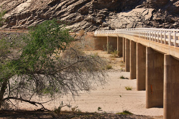 brighte in the Namib desert