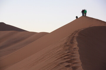 Namib desert