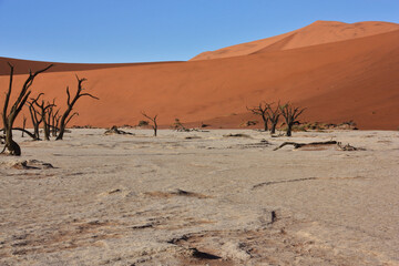 Namib desert