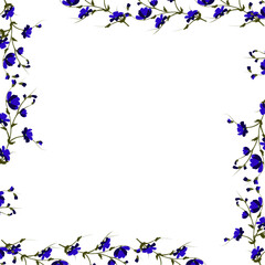 picture with sprigs of chicory in the form of a frame