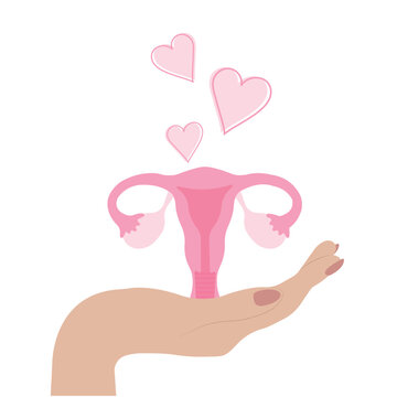 The human hand holds the uterus. Concept for women's health and self-care.