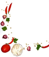 fresh vegetables and spices isolated on white background