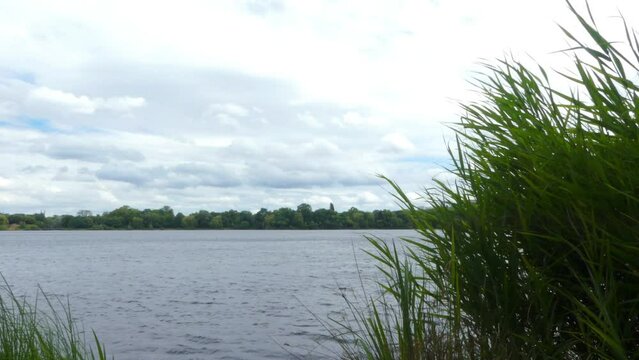 View of a lake with an overcast sky. Tall grass in the foreground by the water's edge with clouds rolling past in the sky.