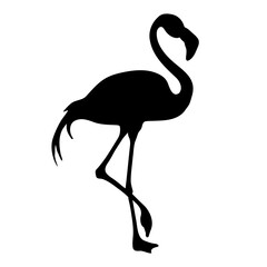 Flamingo walking silhouette isolated. Vector illustration