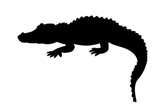 Crocodile alligator silhouette isolated. Vector illustration