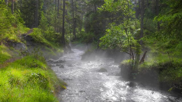 River with crystal clear water in the forest. Sun rays break through tree branches. Sunny morning in magical summer forest