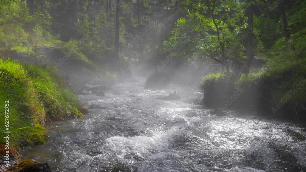 Poster rays of the sun break through trees and light fog in summer forest. mountain crystal clear river in 