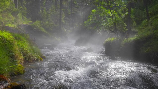 Rays of the sun break through trees and light fog in summer forest. Mountain crystal clear river in the forest. Water flows over the stones, green grass and trees. Gimbal high quality HDR slow motion