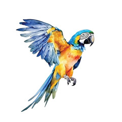 Blue-and-yellow Macaw watercolor paint 