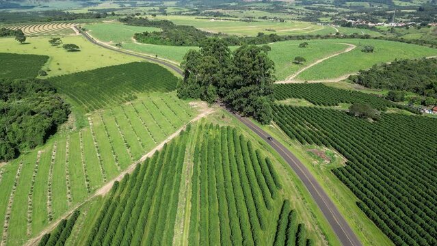 Agriculture Field At Country Scene Rural Landscape Countryside. Forest Landscape Country Scene Countryside. Rural Road Valley Country Peaceful. Rural Road Field Country Bosk Countryside.