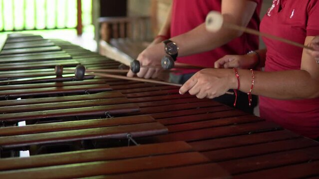 Immerse yourself in the vibrant rhythms and soul-stirring melodies of Costa Rica's beloved musical treasure, the Marimba.