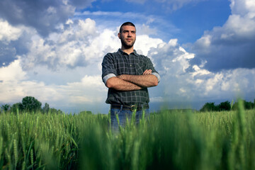 Naklejka na ściany i meble Portrait of young farmer standing in a green wheat field examining crop.