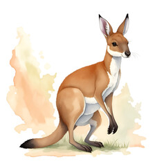 Kangaroo in cartoon style. Cute Little Cartoon kangaroo isolated on white background. Watercolor drawing, hand-drawn kangaroo in watercolor. For children's books, for cards, Children's illustration.