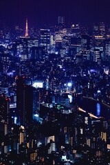 Fototapeta na wymiar 東京都、東京スカイツリーからの夜景（東京タワー方面）