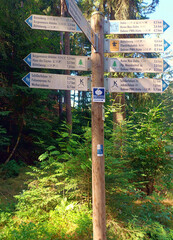 Wegweiser von zahlreichen Wanderwegen im Pfälzerwald bei Dahn in der Nähe der Pfälzerwaldverein Hütte im Schneiderfeld. 