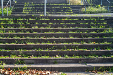 scruffy old steps overgrown