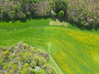 Fields, forest, pastures, aerial view