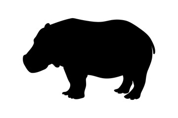 Hippo standing silhouette. Vector illustration