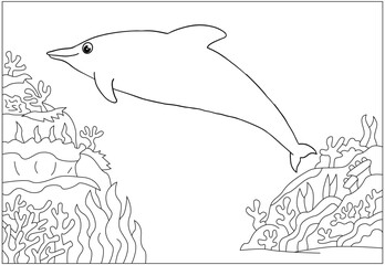 Adventure Coloring Book Animal Kingdom and Wild Safari