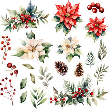 set of christmas flower leaf petal pine corn element watercolor  vector illustration