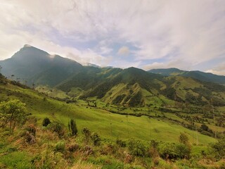 Fototapeta na wymiar valle de cocora en Colombia