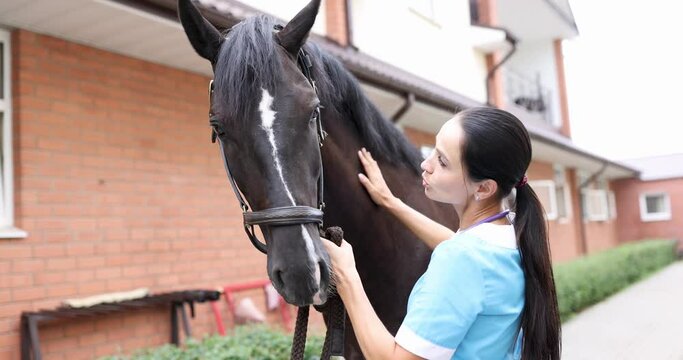 Female veterinarian stroking thoroughbred horse on farm 4k movie. Medical assistance for pets concept