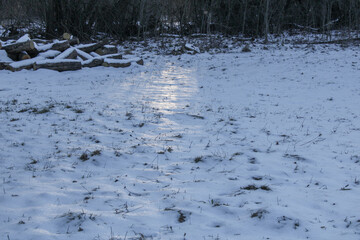Rays of light on a snowy surface in the woods