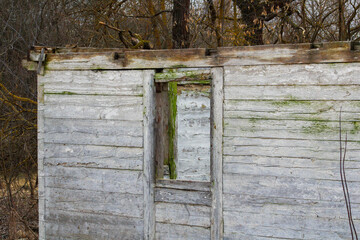A moss-covered window in a ruined house.	
