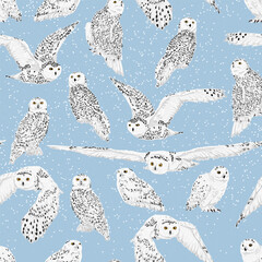 Seamless pattern with snowy owl Bubo scandiacus in different poses. Male and female Arctic owls sit and fly. Realistic vector birds of the North.