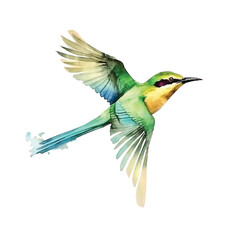 Obraz premium Green Bee-eater bird watercolor paint 