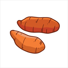vector illustration of sweet potato as a fresh plantation produce on white background, can be used as banner, poster or template