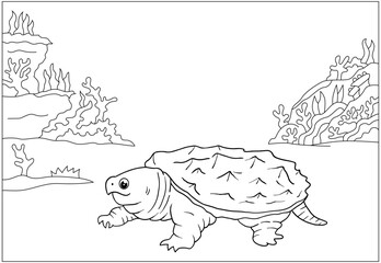 Adventure Coloring Book Animal Kingdom and Wild Safari