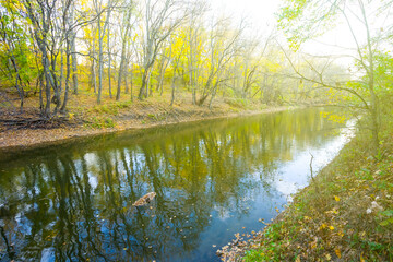 Obraz premium small calm river in light of sparkle sun