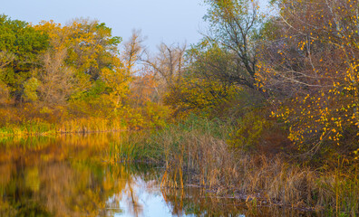 closeup calm autumn river scene