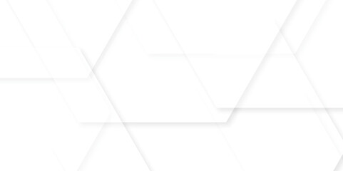 Background with hexagons . Abstract background with lines . white texture background . hexagon abstract background. Surface polygon pattern with glowing hexagon paper texture and futuristic business.
