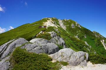 ハイマツに覆われた空木岳山頂