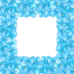 Hand drawn watercolor blue hortense flowers and buds frame isolated on white background. Can be used for label, banner, post card and other printed products.