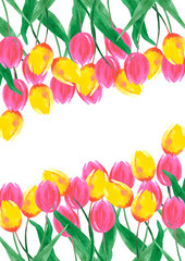Hand drawn watercolor pink and yellow tulips poster isolated on white background. Can be used for poster, post card, wedding invitation, album.