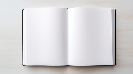 Open book, blank page, top down view, flat background